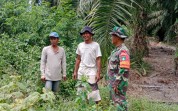 Lahan Rawan Dipantau, Koramil 03 Edukasi Warga Soal Bahaya dan Sanksi Karhutla
