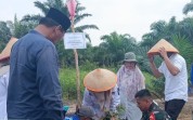 Perkuat Ketahanan Pangan, Poktan Almadani Tanam Bibit Durian Duri Hitam di Medang Kampai