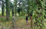 Patroli Lahan Seluas 3 Hektare, Babinsa Koramil 03/Sungai Sembilan Tak Temukan Titik Api
