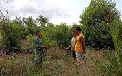 Babinsa Basilam Baru Patroli Jaga Lahan Hutan dari Kebakaran