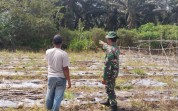Antisipasi Kebakaran, Koramil 03 Sungai Sembilan Sisir Lahan Rawan Karhutla