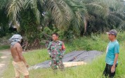 Cegah Karhutla, Koramil Sungai Sembilan Sisir Lahan Rawan di Jalan Abdul Aziz