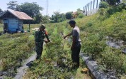 Patroli Karhutla dan Karya Nyata, Babinsa Pelintung Bantu Petani Cabai Merah