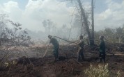 Kodim Dumai Turun Tangan Padamkan Karhutla 13 Hektare di Medang Kampai