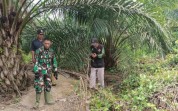 Cuaca Terik, TNI Tingkatkan Patroli Karhutla di Wilayah Gambut Dumai