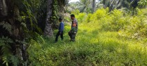 TNI Kodim 0320/Dumai Gencarkan Patroli Karhutla di Lahan 2 Hektare Lubuk Gaung
