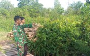 Babinsa Dampingi Warga Tanam Bayam Sambil Sosialisasi Pencegahan Karhutla