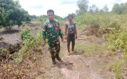 Wujud Pencegahan Karhutla, Babinsa Kelurahan Purnama Laksanakan Patroli