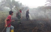 Pemadaman dan Pendinginan Karhutla Hari Kedua di Jalan Sidodadi Lubuk Gaung oleh Personil Kodim Dumai