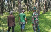 Babinsa Dumai Pantau Lahan Rawan Karhutla di Lubuk Gaung