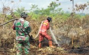 Lahan Gambut Terbakar di Sungai Sembilan, Tim Gabungan Lakukan Pemadaman Intensif