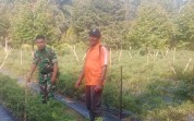 Sertu Mahyudin Intensifkan Patroli Karhutla, Ajak Warga Jaga Lingkungan dan Kembangkan Pertanian Cabai
