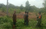 Cegah Karhutla, Babinsa Teluk Makmur Turun Langsung Edukasi Warga