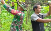 Babinsa Bangsal Aceh Bantu Warga Kelola Kebun Gambas Sekaligus Sosialisasi Cegah Karhutla