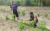 Turun ke Lapangan, Babinsa Dumai Ajak Warga Stop Bakar Lahan dan Antisipasi Banjir