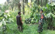 Babinsa Sungai Sembilan Patroli Karhutla dan Edukasi Warga Cegah Pembakaran Lahan
