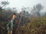 Dandim 0320 Dumai: Titik Api Karhutla Bangsal Aceh Nihil, Pendinginan Terus Dilakukan