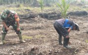 Babinsa Kodim 0320/Dumai Dorong Warga Bagan Besar Optimalkan Lahan dengan Tanaman Terong