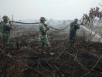 Pendinginan Karhutla Hari Kedua di Bangsal Aceh, Tim Gabungan Padamkan Setengah Hektare Lahan