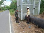 Patroli Gabungan Koramil 01/Dumai-PHR Tingkatkan Keamanan Jalur Pipa dan Edukasi Masyarakat