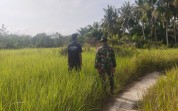Cegah Karhutla, Babinsa Sosialisasikan Larangan Bakar Lahan di Dumai
