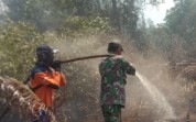 Lahan 0,8 Hektare Terbakar di Medang Kampai, Babinsa Lakukan Pendinginan