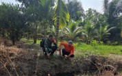 Cegah Karhutla dan Banjir, Babinsa Bukit Datuk Ajak Warga Tanam Jeruk Nipis