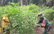 Koramil 02/Bukit Kapur Sosialisasikan Larangan Aktivitas Berisiko di Jalur Pipa PHR