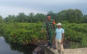 Patroli Karhutla Disertai Sosialisasi Banjir, Babinsa Dampingi Budidaya Kangkung Warga