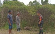 Babinsa Dumai Barat Sisir Lahan Gambut, Pastikan Nihil Titik Api