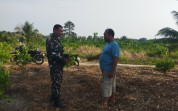 Patroli Karhutla, Babinsa Koramil 01/Dumai Dampingi Warga Budidaya Jeruk Nipis