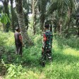 Cegah Karhutla, Sertu Miftah Tingkatkan Patroli di Kawasan Rawan Batu Teritip
