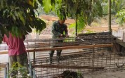 Kodim 0320/Dumai Terjun Dampingi Pembangunan Jembatan Beton di RT 21 Lubuk Gaung