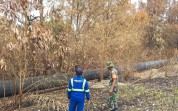 Deteksi Dini Karhutla, Babinsa Lakukan Pengecekan Lahan Bekas Terbakar