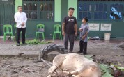 Letkol Arm Herman Santoso: Semangat Kurban Perkuat Kepedulian dan Persaudaraan