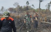 Karhutla Hanguskan 5 Hektare Lahan di Batu Teritip, Babinsa Kodim Dumai Turun Padamkan Api