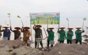 Sinergi TNI–Persit dan Warga, 150 Mangrove Ditanam di Pantai Batu Bintang