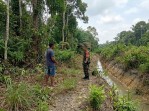 Babinsa Koramil 01/Dumai Ajak Warga Cegah Karhutla Sambil Dampingi Penanaman Ubi Kayu