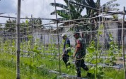 Koramil 03/Sungai Sembilan Perkuat Ketahanan Pangan Melalui Pendampingan Petani
