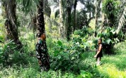 Cegah Karhutla Sejak Dini, Babinsa Batu Teritip Rutin Patroli dan Edukasi Masyarakat