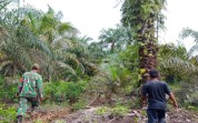 Sertu Ramli Turun Langsung Patroli Karhutla, Ingatkan Warga Bahaya Membakar Lahan