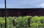 Dukung Ketahanan Pangan, Babinsa Batu Teritip Pantau Kebun Cabai Warga
