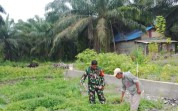 Babinsa Koramil 01/Dumai Imbau Warga Tak Bakar Lahan, Dorong Pemanfaatan Lahan Produktif