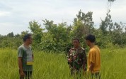 Babinsa Turun Langsung Imbau Warga Tak Bakar Lahan di Wilayah Rawan Karhutla Dumai