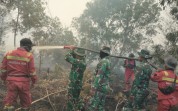 Kodim 0320 Dumai Pimpin Langsung Pemadaman Karhutla di Lahan Gambut