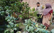 Sinergi Polisi dan Warga, Pekarangan Bergizi Tumbuh Subur di Dumai <code>Kota</code>