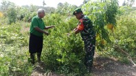 Cegah Kebakaran Meluas, Babinsa Koramil 01/Dumai Ajak Warga Peduli Lingkungan
