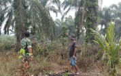 Pastikan Lahan Aman, Babinsa Koramil 02/Bukit Kapur Patroli Cegah Karhutla