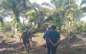 Deteksi Dini Karhutla, Babinsa Koramil 01/Dumai Sisir Lahan Rawan di Tanjung Palas