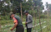 Babinsa Sertu Jumat Desmanto Dorong Pemanfaatan Lahan Produktif di Bagan Besar Timur